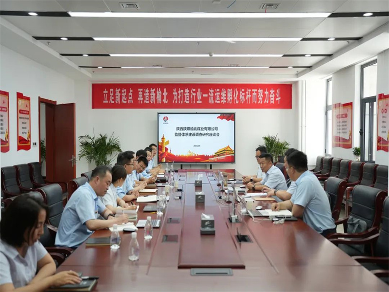 公司領(lǐng)導班子成員到所屬單位開展專題調(diào)研（2）.jpg