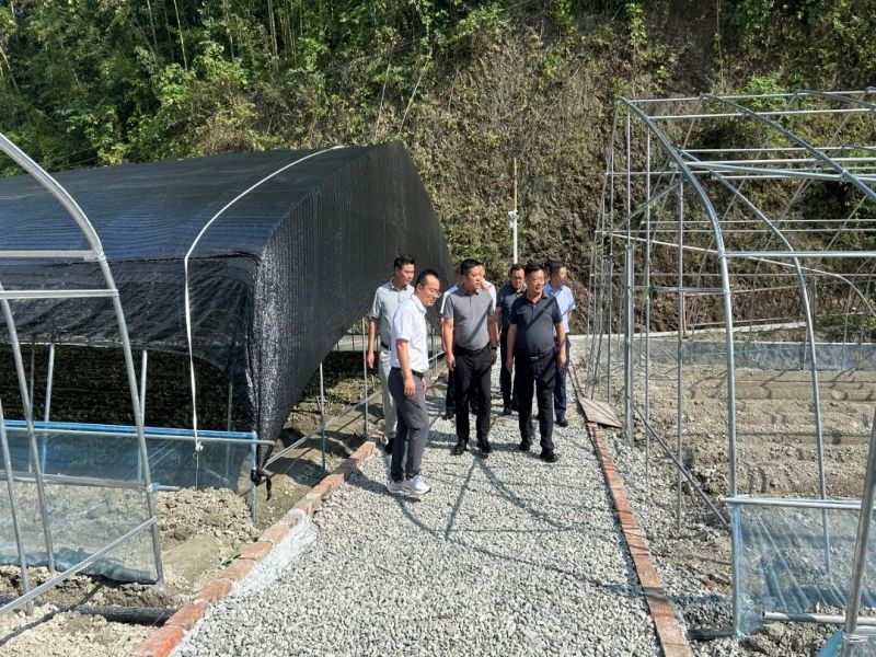 201724116647910430.jpg 微信圖片_20240820091542.jpg