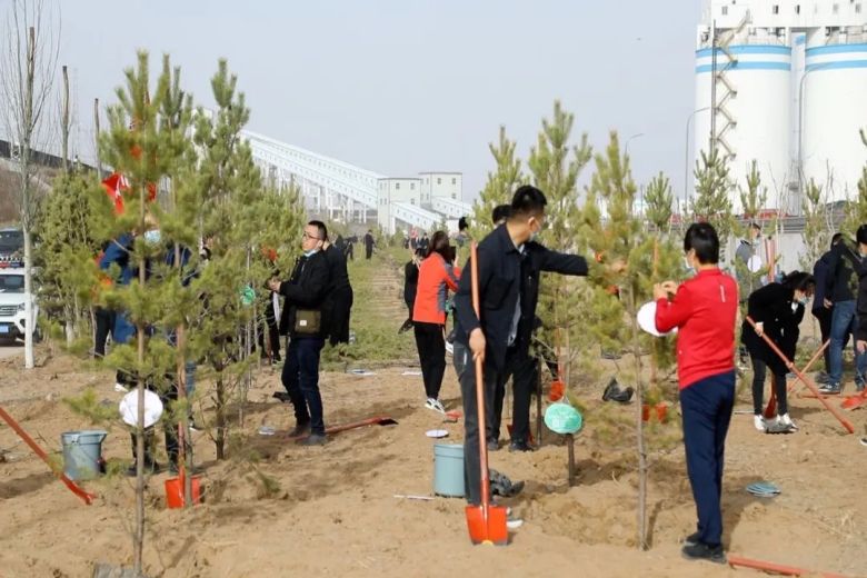 1647416643858184.jpg 4.jpg